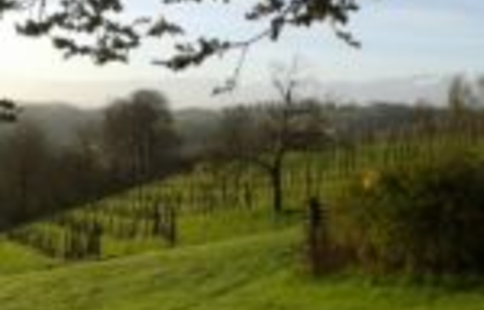 Visita e degustazioni di Domaine Cmin Larredya 1,00 €