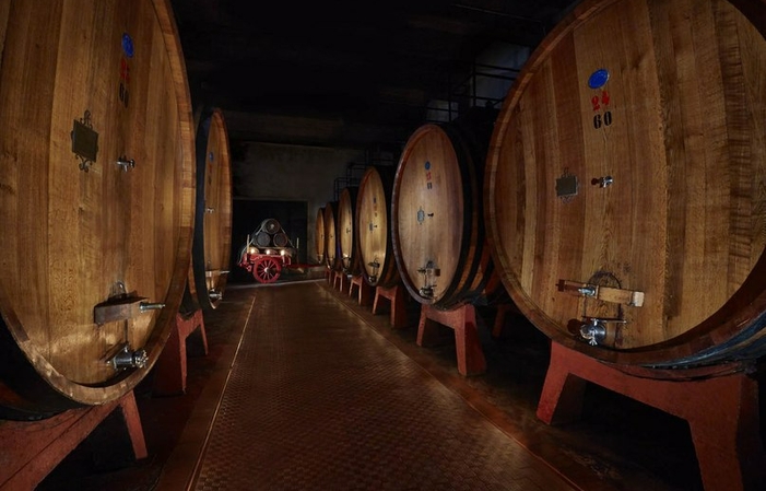 Visita Fattoria dell'Aiola: degustazione di vini 15,00 €