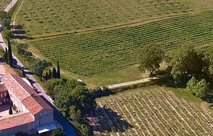 Degustazione dei vini della tenuta 12,00 €