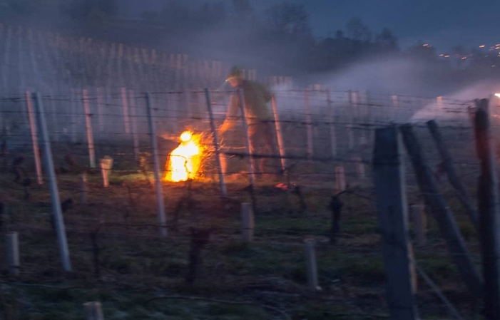 Visita e degustazioni del Domaine De L'idylle 30,00 €