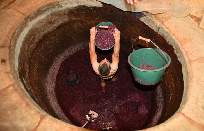 Visita e degustazioni del DOMAINE DE LA NOBLAIE 1,00 €
