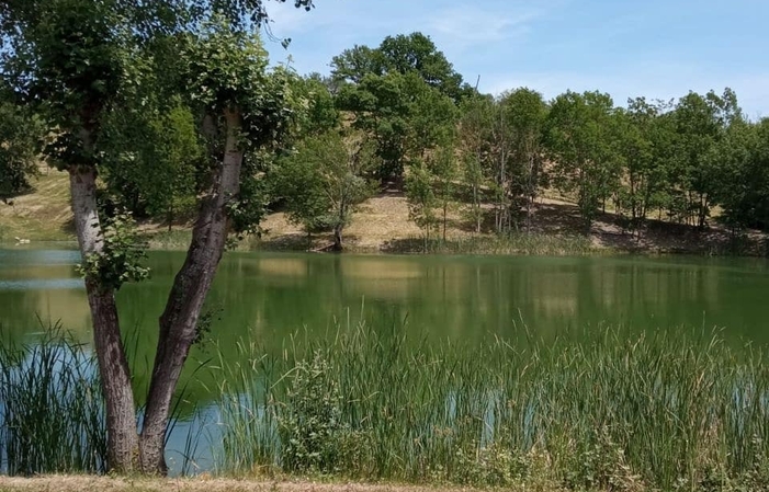 Visita e degustazioni alla Tenuta Cerulli Spinozzi 1,00 €