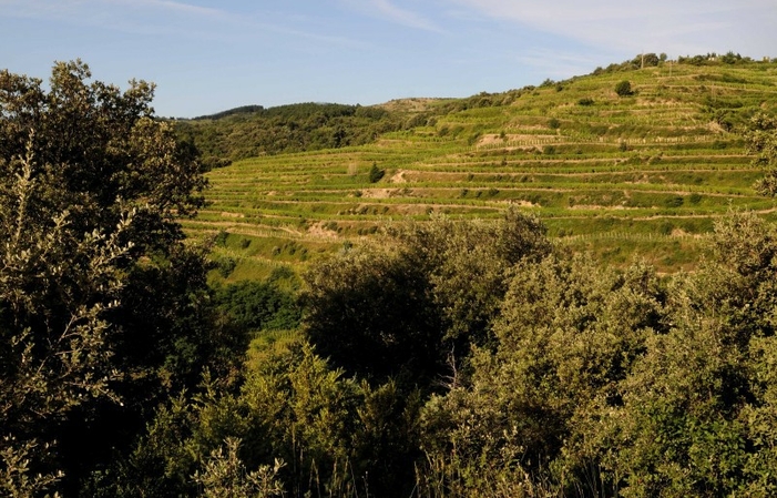 Visita e degustazione al domaine du Coulet 1,00 €