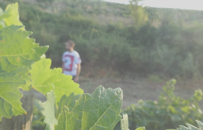 Visita e degustazioni alla Domaine Jean-Baptiste Arena 1,00 €