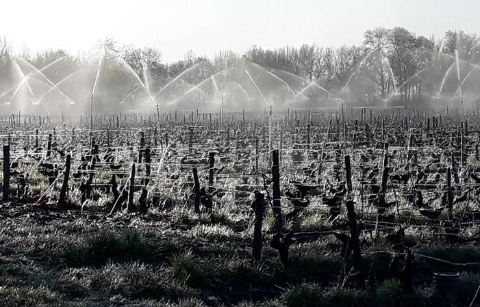 Visita e degustazioni della tenuta Domaine de l'R 1,00 €