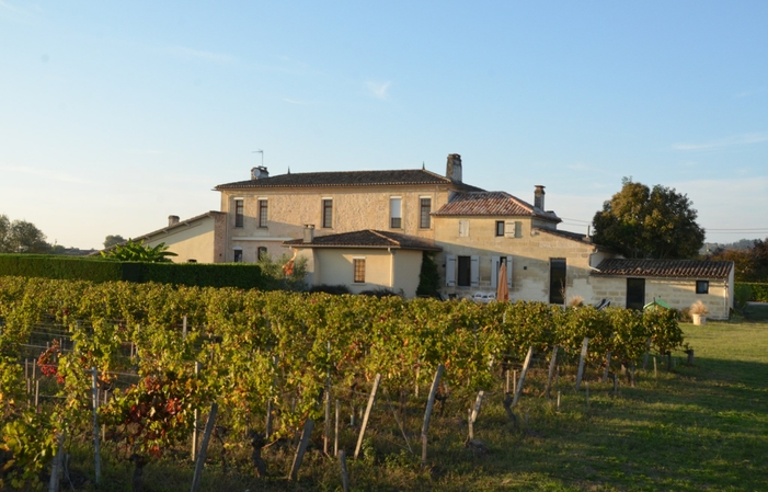 Visita i grandi vigneti, Château la Renommée 33,86 £