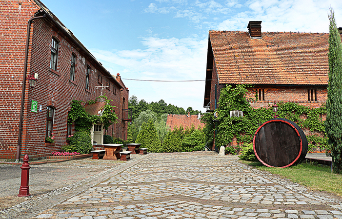 Visita e degustazione nei vigneti di Jaworek 1,00 €