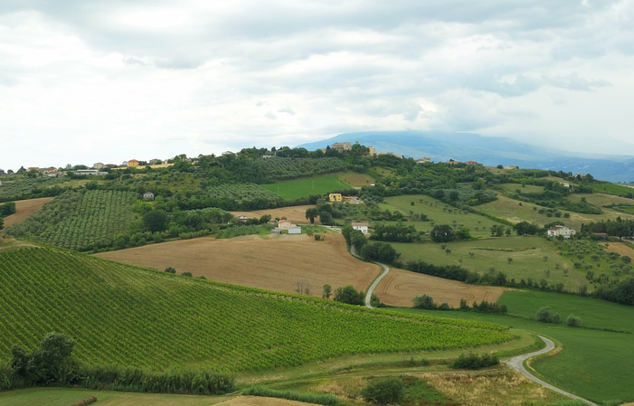 Visita e degustazioni Storiche Cantine Bosco 1,00 €