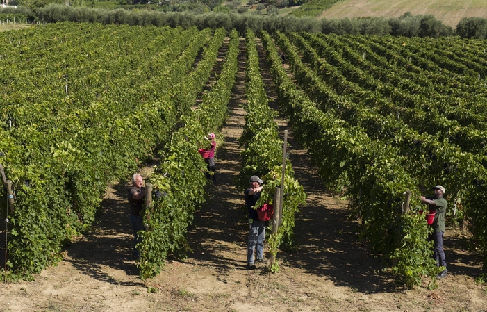 Visita e degustazioni alla Chiusa Grande 1,00 €