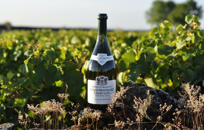 Visita e degustazioni del castello di Meursault 1,00 €