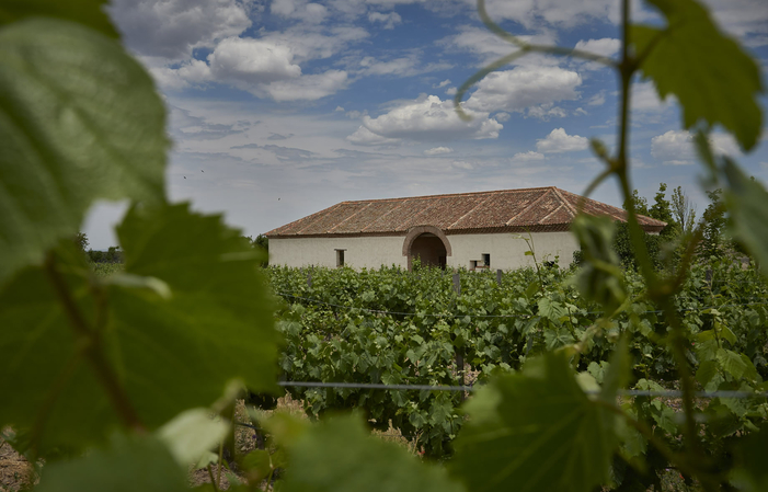 Scoperta e visita degustazione a La Mejorada 16,00 €