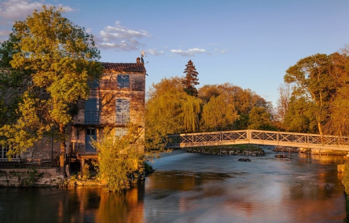 Tour e degustazioni del Cognac 1,00 €