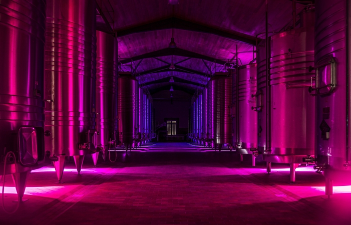 Visita e degustazione a Château Lamothe-Bergeron 6,00 €