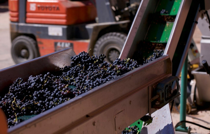 Visita e degustazioni Domaine de la Begude 1,00 €