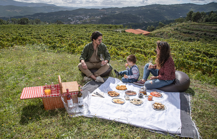 Visita guidata dei vigneti seguita da un pic-nic 46,00 €