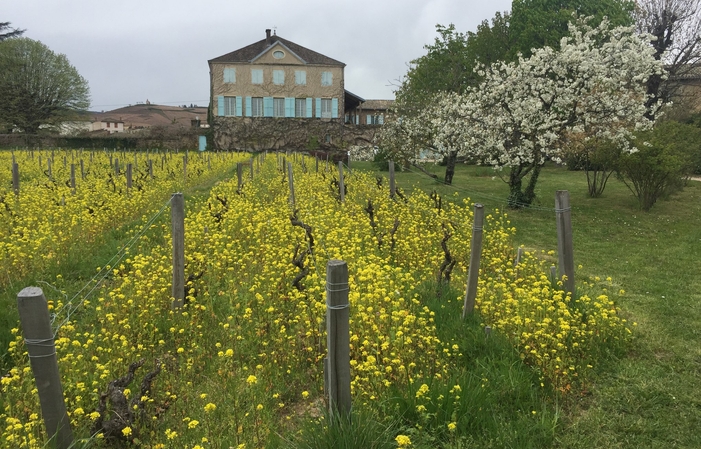 Visita e degustazioni al Castello di Bachelards 44,00 €