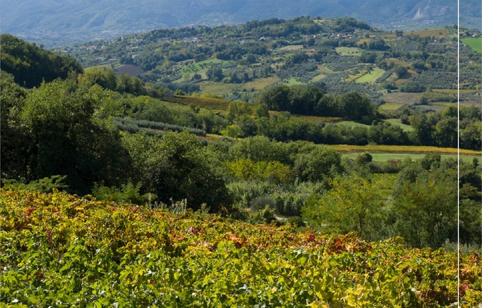 Visita e degustazioni alla Chiusa Grande 1,00 €