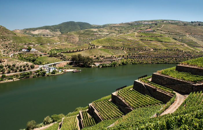 Relax Douro: Godetevi la valle 100,00 €