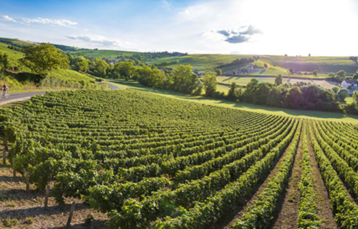 Visita e degustazione a Château Clamens 1,00 €