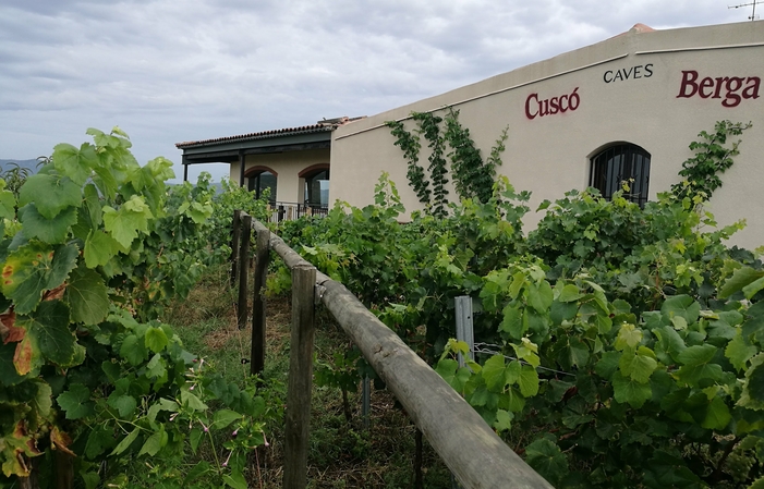 Visita/Degustazione di pesca e Cava del Penedés a 25,00 €