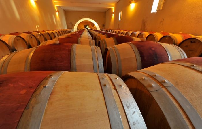 Visita del castello e degustazione di vini 8,00 €