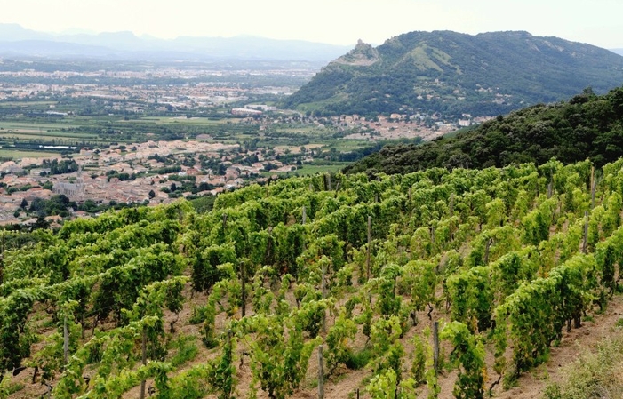 Visita e degustazione al domaine du Coulet 1,00 €