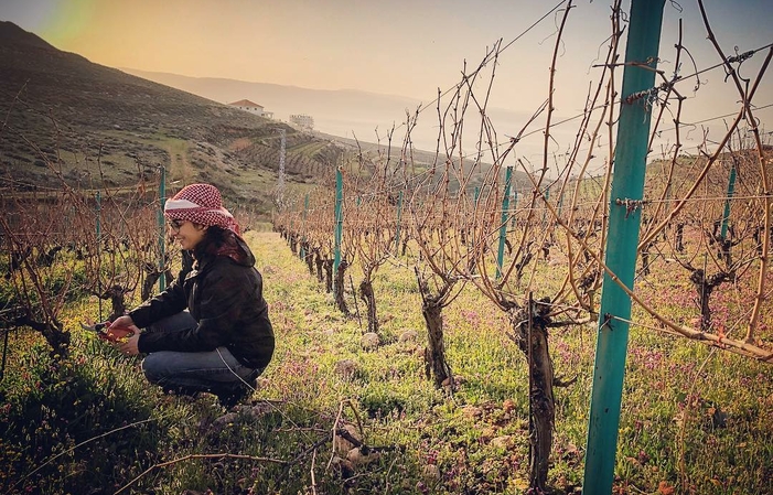 Visita Coteaux du Liban 5,00 €