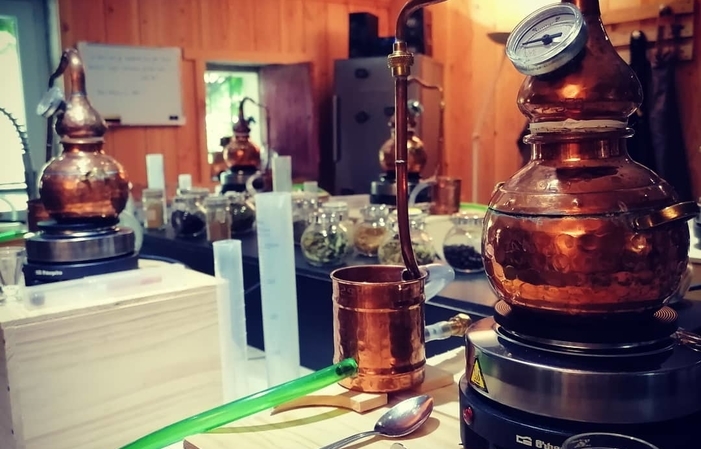 Laboratorio di distillazione amatoriale Cabestan Distilleria 75,00 €