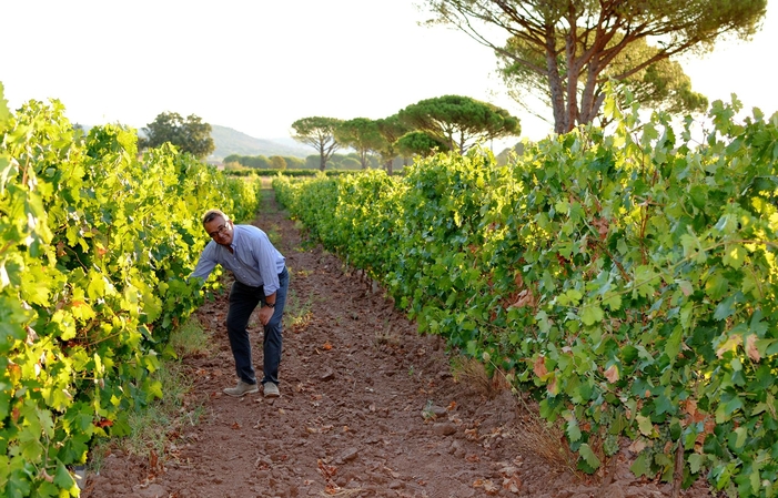 Visita e degustazione al Domaine des Féraud 1,00 €