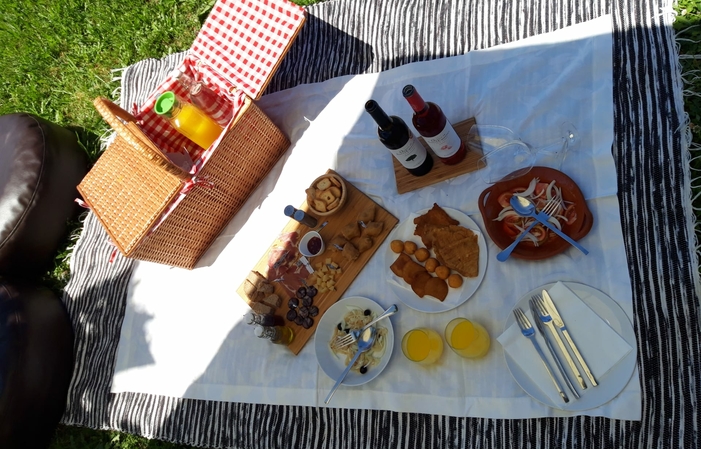 Visita guidata dei vigneti seguita da un pic-nic 46,00 €