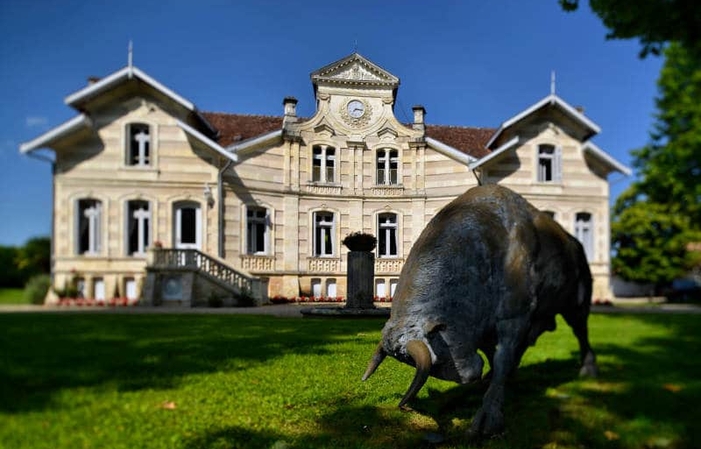 Laboratorio di sensazioni a Château Maucaillou 60,00 €