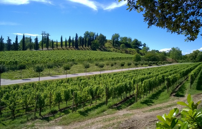 Visita e degustazione presso l'azienda agricola russiz Superiore 1,00 €