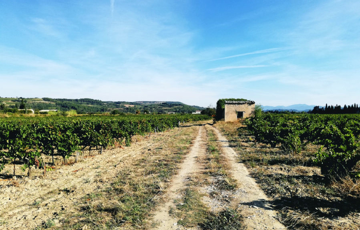 Visita al Domaine Jean David 1,00 €