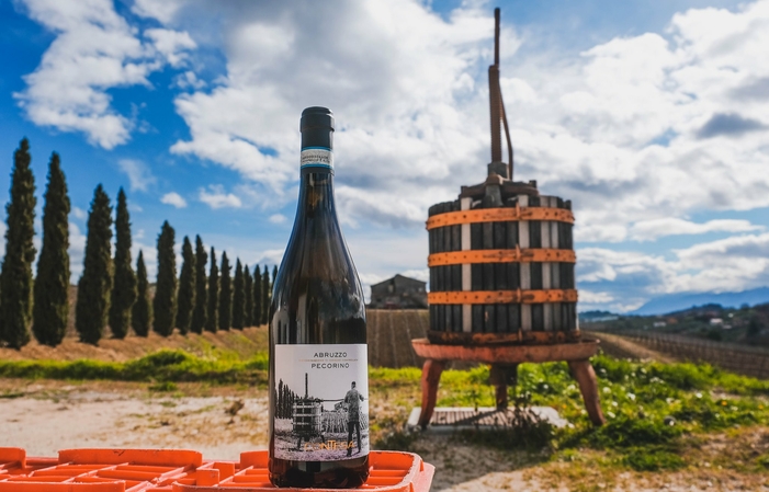 Visita e degustazione al Vini Contesa 1,00 €