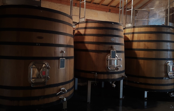 Visita e degustazione al Castello Grand Destieu 1,00 €