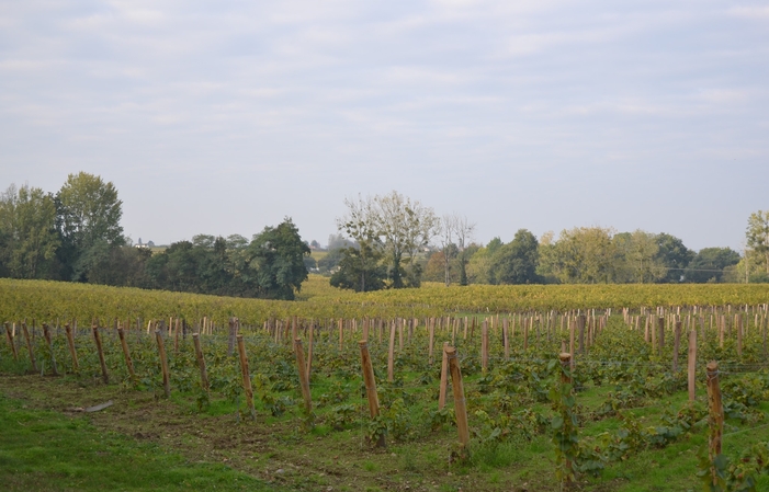 Visita e degustazione a Château Cléray 3,00 €