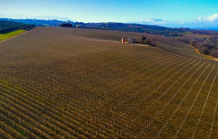 Visita e degustazioni presso la Cantina Marramiero 117,20 RUB