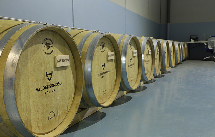 Visita e Degustazione Bodega Valdehermoso 6,00 €