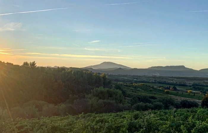 Visita e degustazione presso la cantina Château Mont-Redon 1,00 €