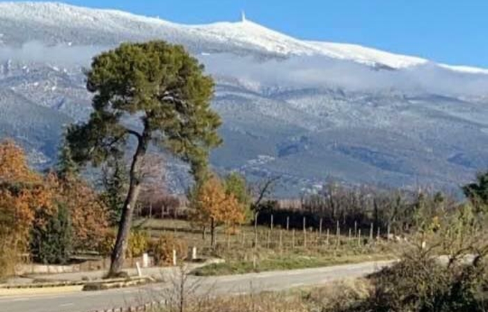 Visita e degustazione al Domaine De Mas Caron 6,00 €