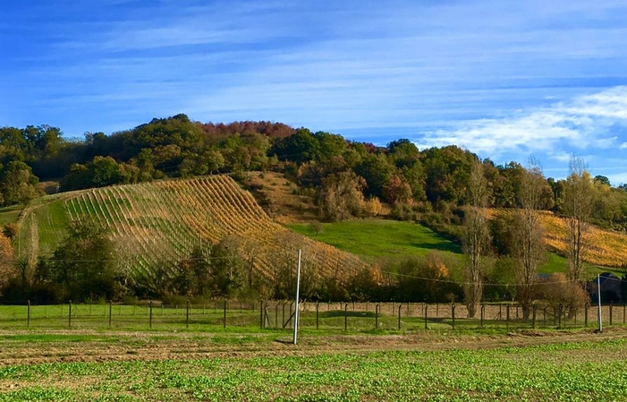 Visita Domaine Bordenave 1,00 €