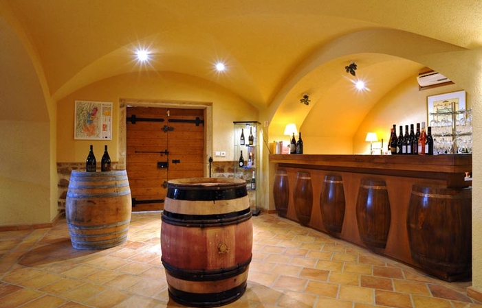 Visita e degustazioni del Domaine Du Château De La Valette 39,00 €