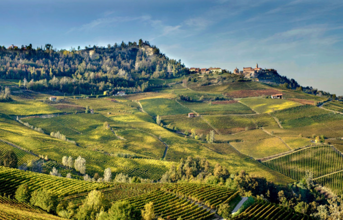 Visita e degustazione al Domaine Roberto Voerzio 1,00 €