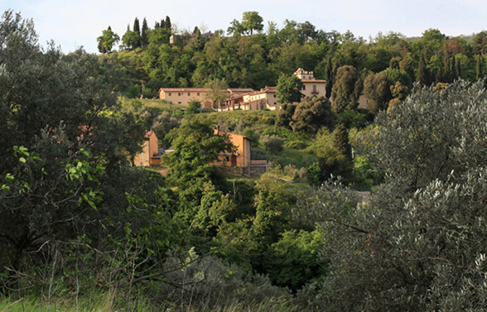 Scoperta della cantina - Degustazione Chianti Clas 20,00 €