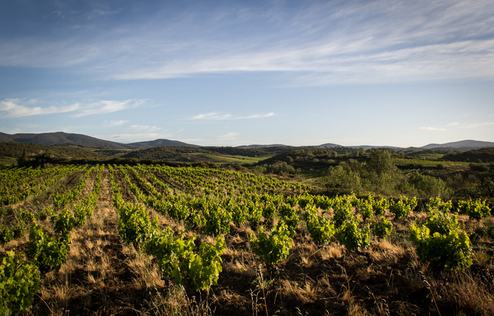 Visita e degustazione al Domaine des Prés Lasses 1,00 €