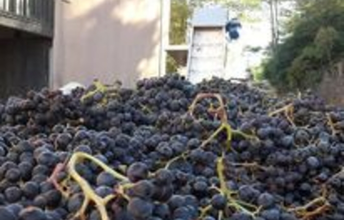 Visita dei viticoltori di Caraguilhes 1,00 €