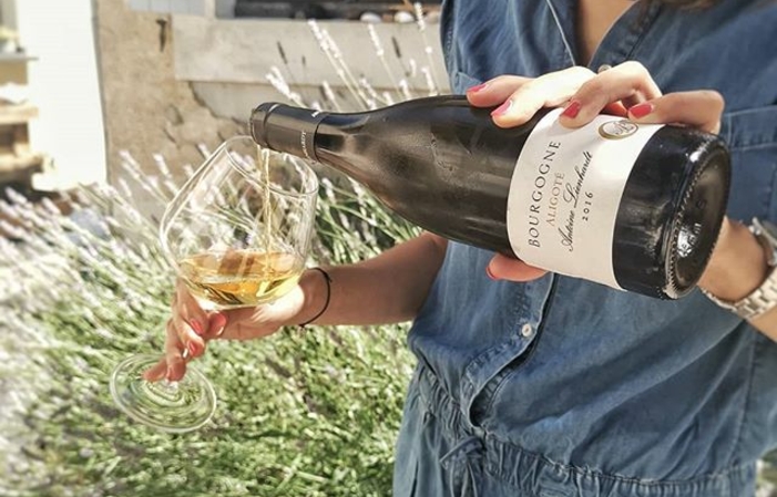 DEVENE VIGNERON in Borgogna durante la vendemmia 360,00 €