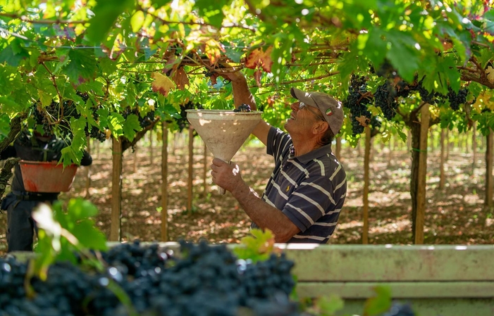 Visita e degustazioni alle Cantine Maligni 1,00 €