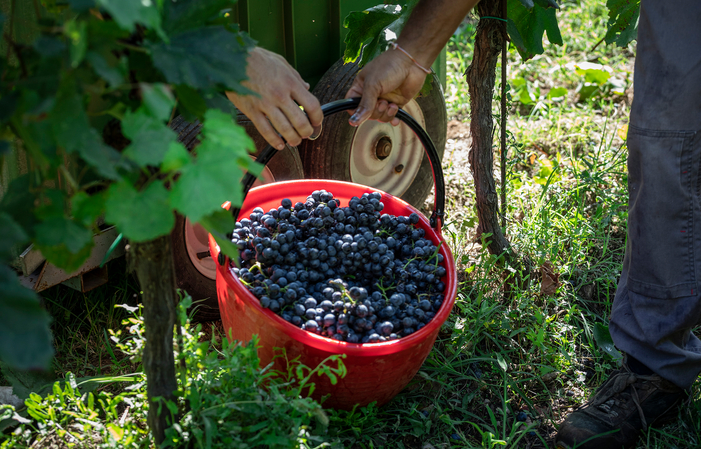 Tenuta La Cà wine experience 19,00 €