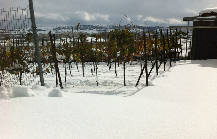 Visita Avner Winery 4,82 CHF